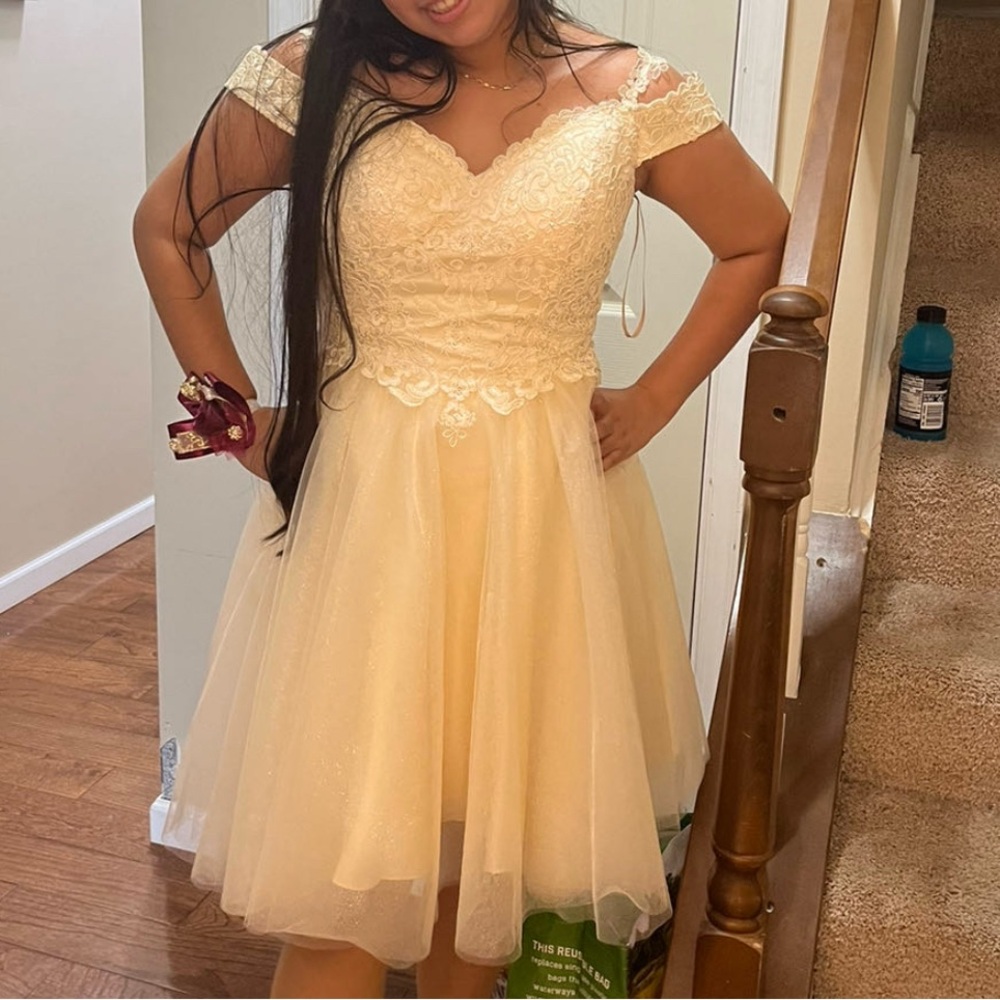 Elegant Cream Lace Dress